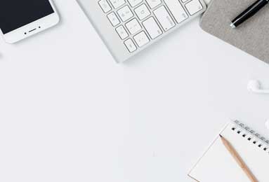 冬至麋鹿鹿角脱落：自然规律中的生命循环启示