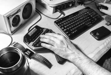 冬至麋鹿鹿角脱落：自然规律中的生命循环启示