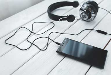 冬至麋鹿鹿角脱落：自然规律中的生命循环启示